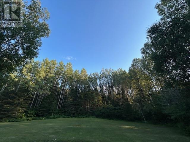 217 Kivikoski Rd, Gorham, Ontario  P7G 2J5 - Photo 33 - TB2602377