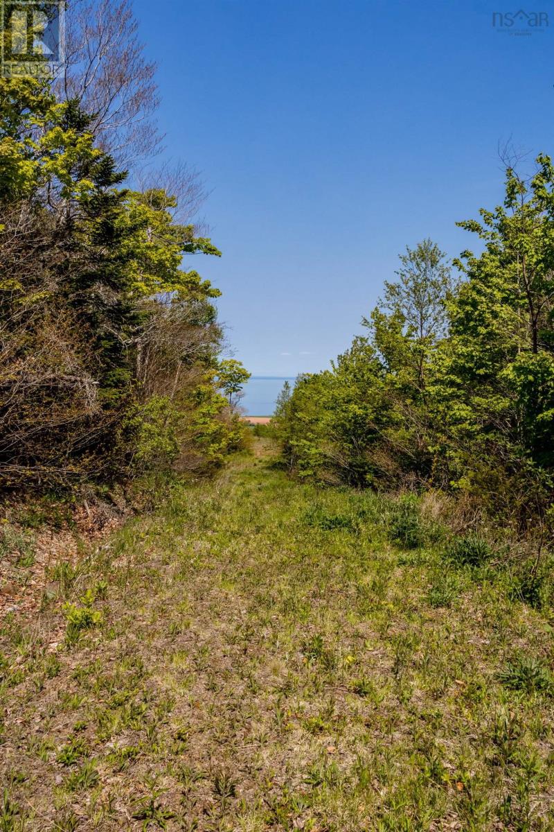 Lot 3 Highway 358, South Scots Bay, Nova Scotia  B0P 1H0 - Photo 9 - 202613920