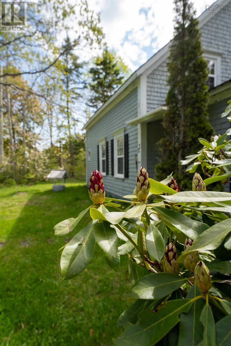 27 Flat Hill Roads, Broad Cove, Nova Scotia  B0J 2H0 - Photo 23 - 202605792