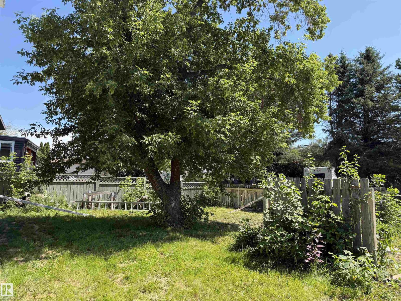 107 Mountain Ash Dr, Wetaskiwin, Alberta  T9A 2T4 - Photo 3 - E4503965