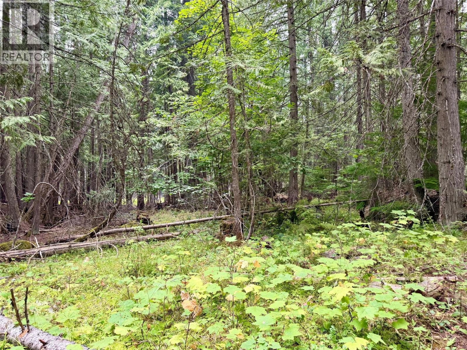 Harrop-Procter Road Lot# E, Procter, British Columbia