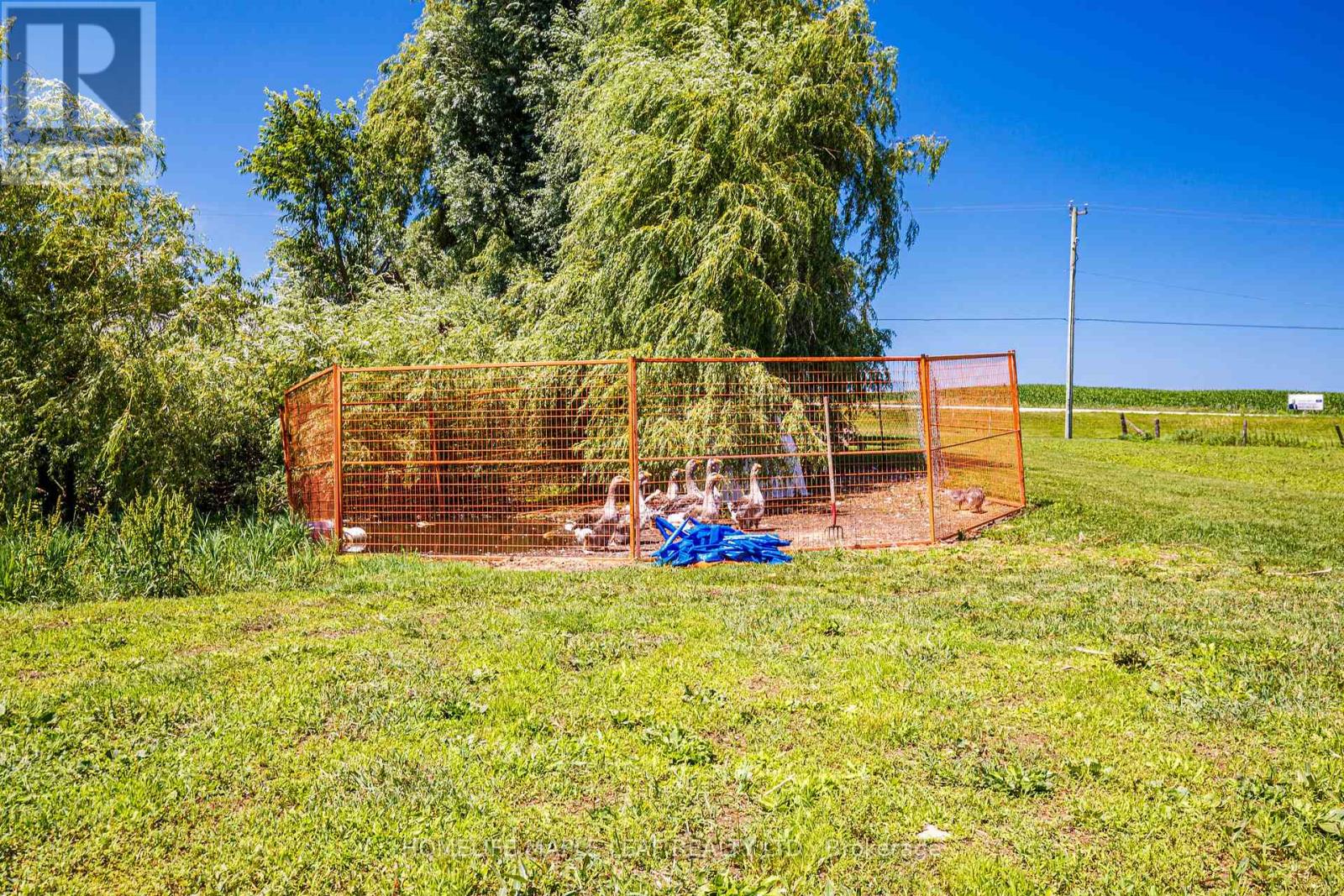 17 - 585437 County Road, Melancthon, Ontario  L9V 1Z1 - Photo 41 - X13678436