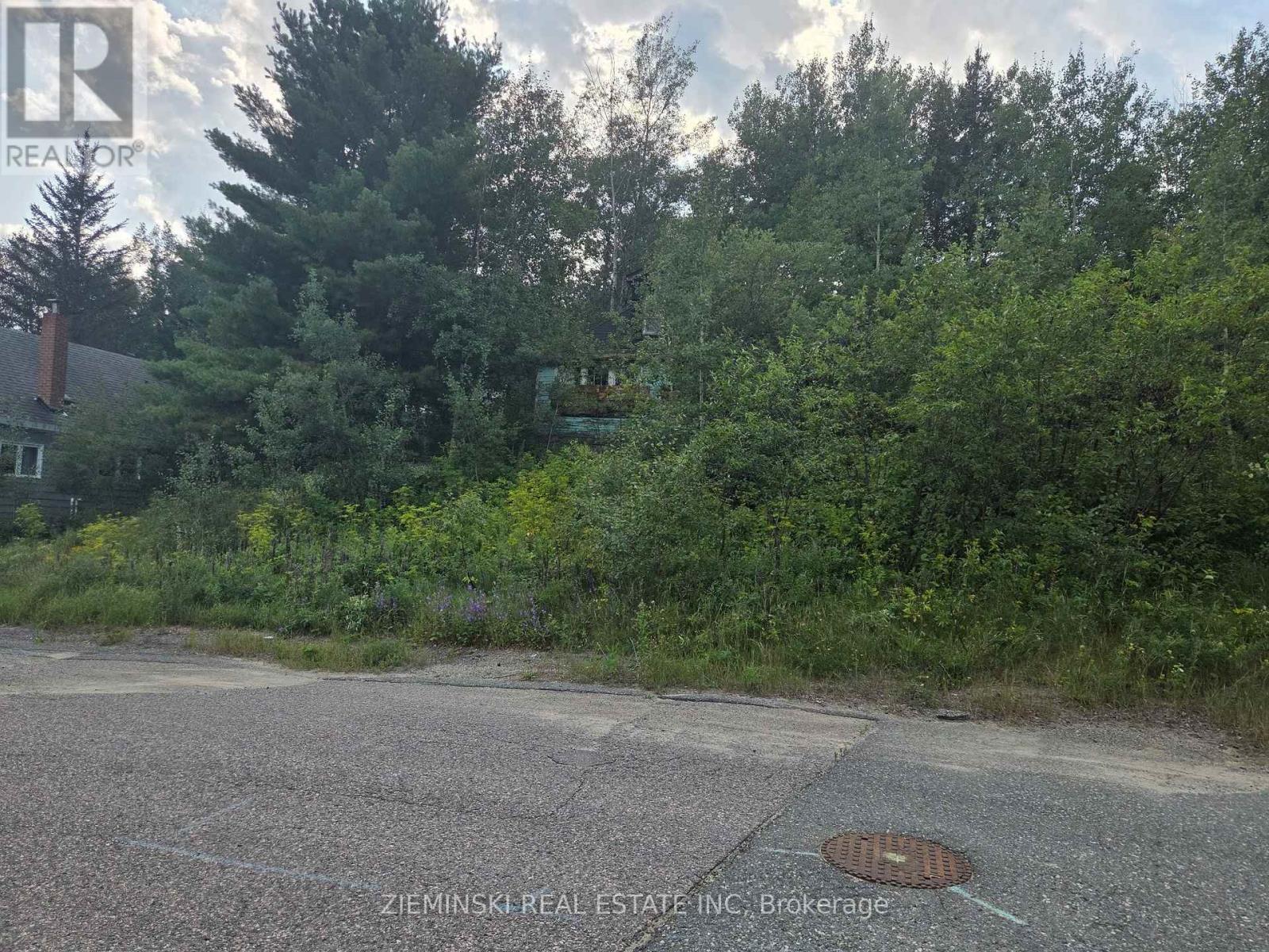 296 Hayes Street, Kirkland Lake (Swastika), Ontario  P0K 1T0 - Photo 3 - T13678614