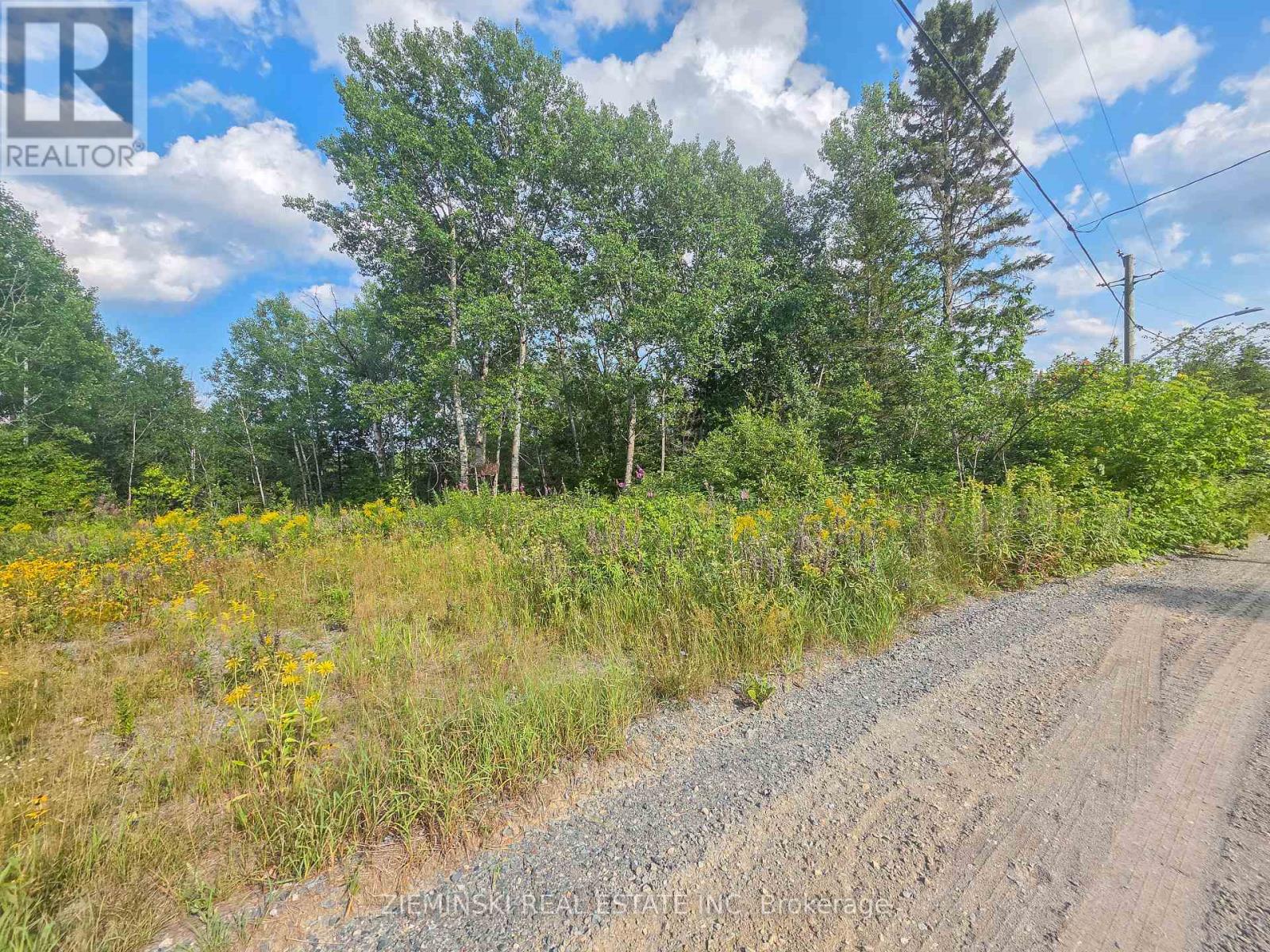 20 Swastika Avenue, Kirkland Lake (Swastika), Ontario  P0K 1T0 - Photo 4 - T13678618
