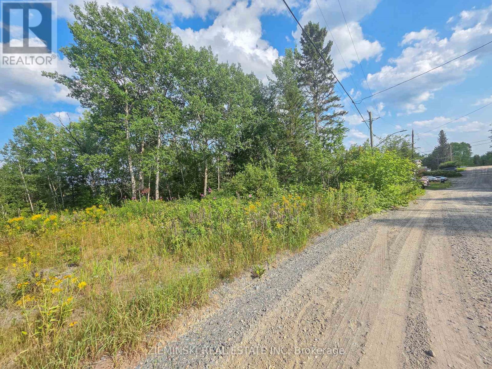 20 Swastika Avenue, Kirkland Lake (Swastika), Ontario  P0K 1T0 - Photo 5 - T13678618