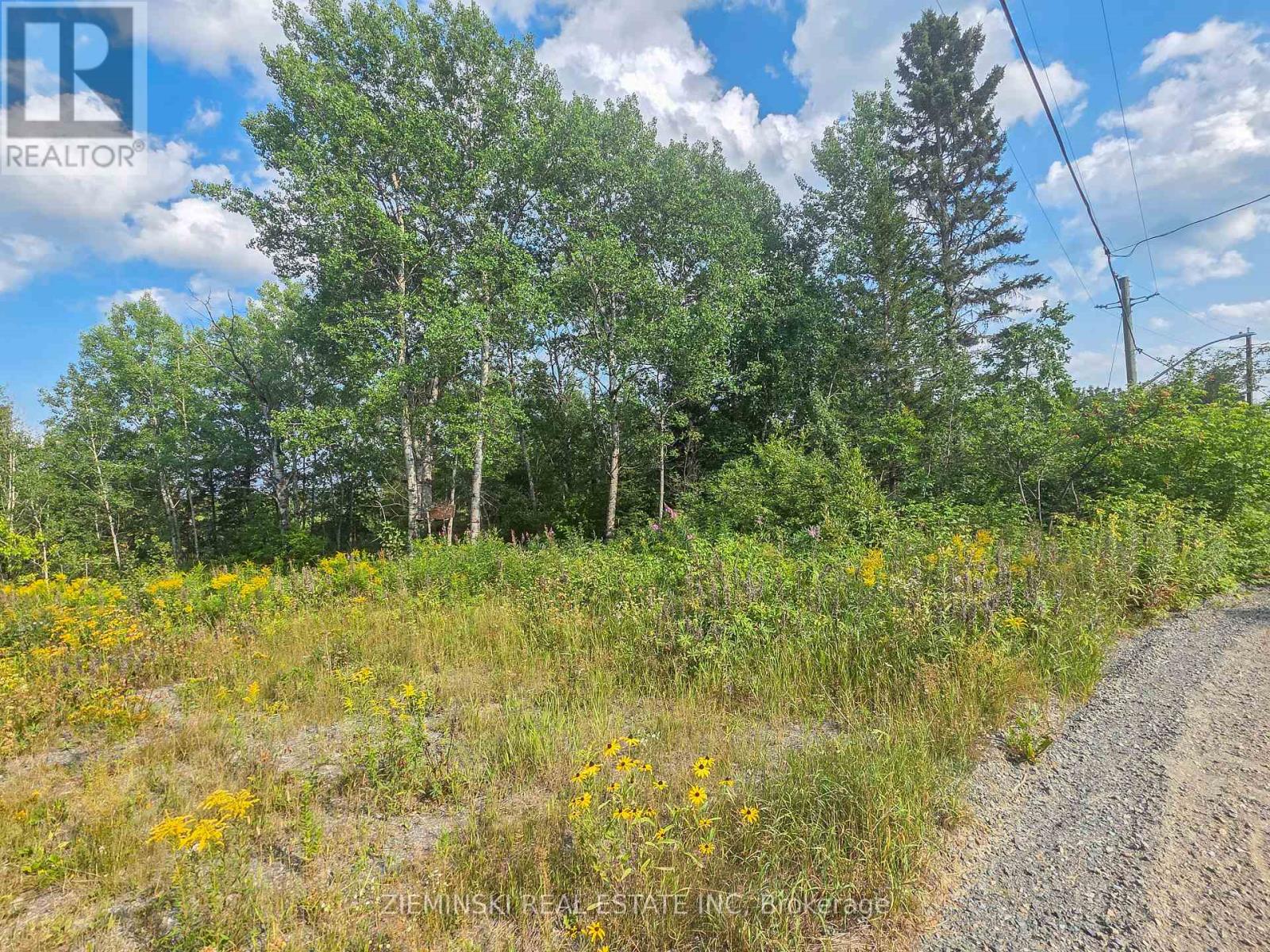 20 Swastika Avenue, Kirkland Lake (Swastika), Ontario  P0K 1T0 - Photo 6 - T13678618