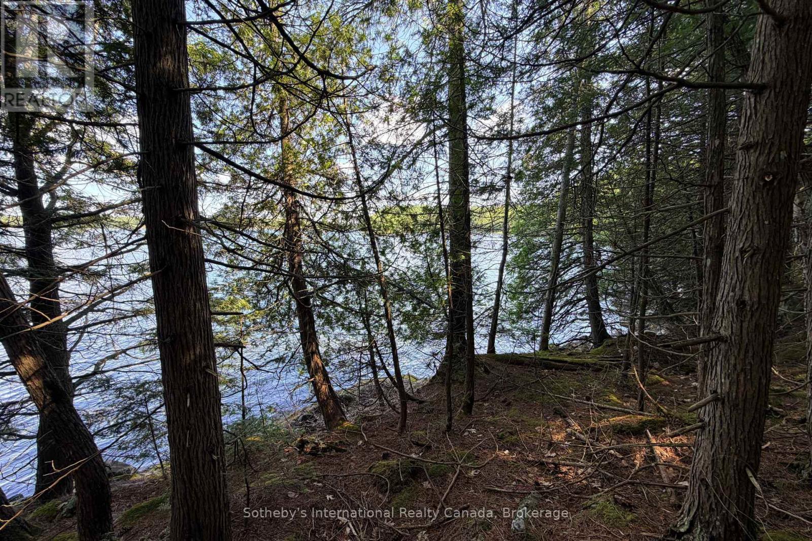 183 Mclaren (B704) Island, The Archipelago, Ontario  P2A 2T4 - Photo 3 - X13678878