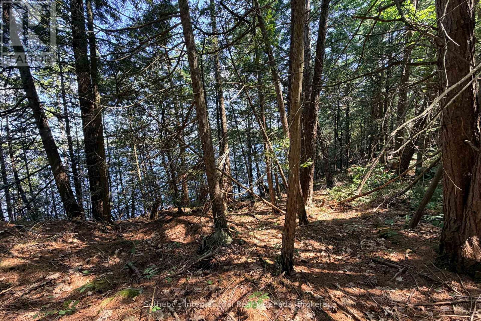 183 Mclaren (B704) Island, The Archipelago, Ontario  P2A 2T4 - Photo 4 - X13678878