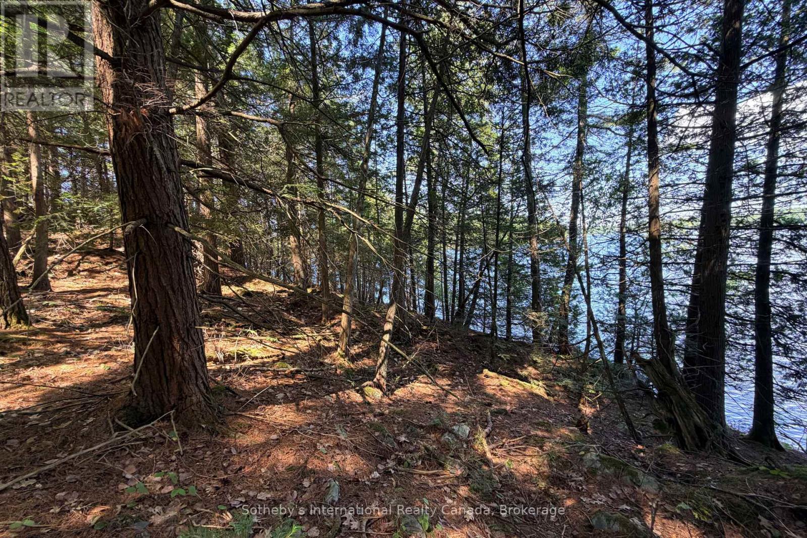 183 Mclaren (B704) Island, The Archipelago, Ontario  P2A 2T4 - Photo 6 - X13678878