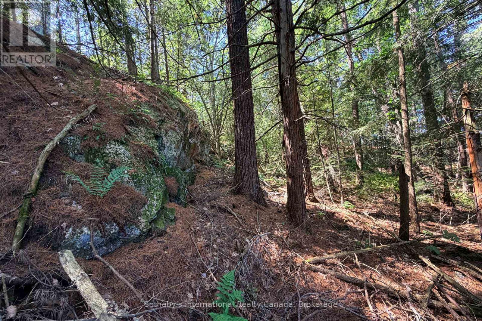 183 Mclaren (B704) Island, The Archipelago, Ontario  P2A 2T4 - Photo 8 - X13678878