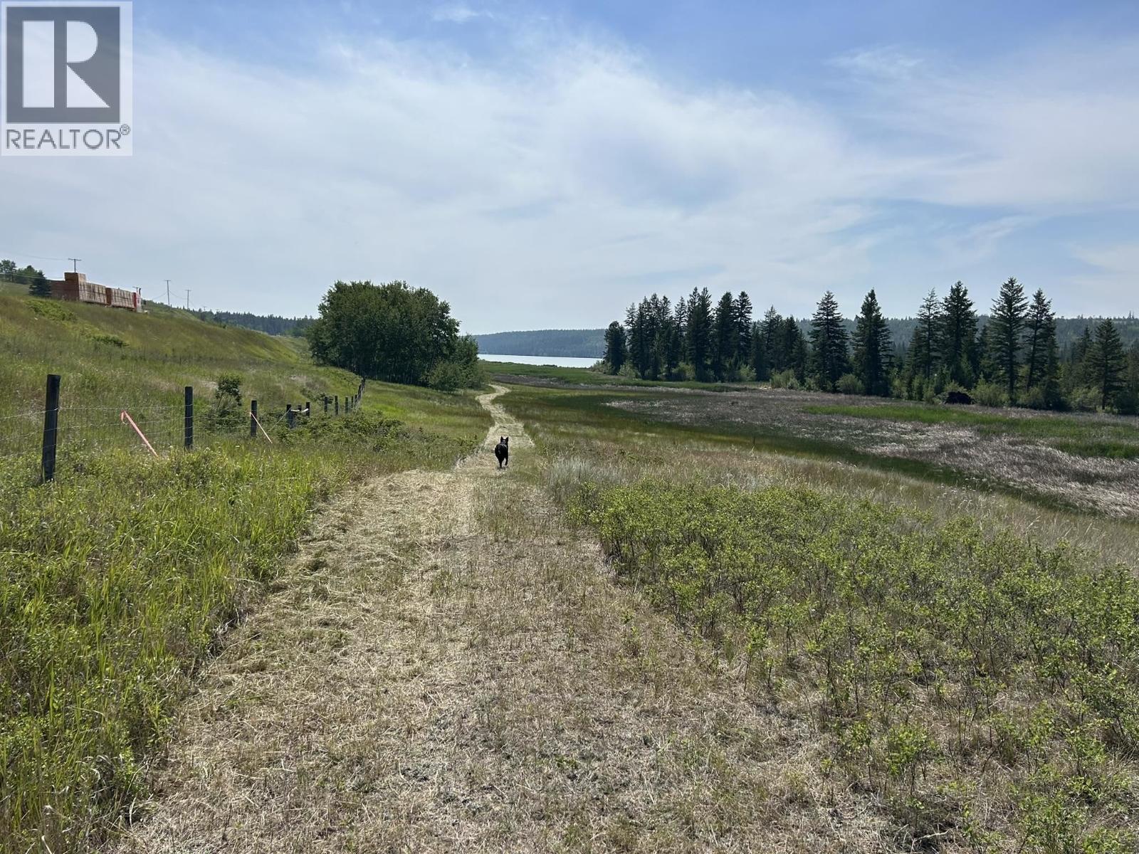 3440 Dunsmuir Road, Lac La Hache, British Columbia  V2J 6V6 - Photo 8 - R3150309
