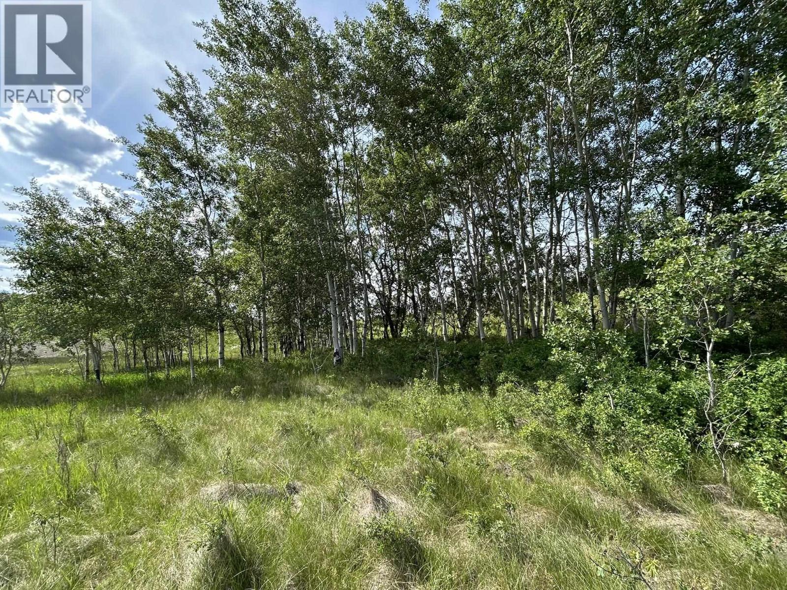 3440 Dunsmuir Road, Lac La Hache, British Columbia  V2J 6V6 - Photo 5 - R3150309