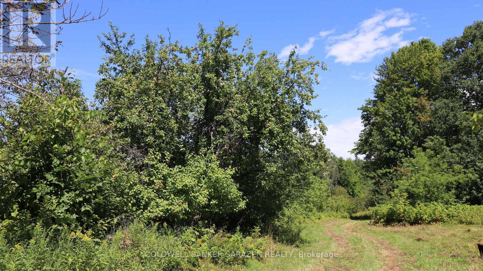 183 Jim Barr Road, Horton, Ontario  K7V 3Z8 - Photo 38 - X13664962