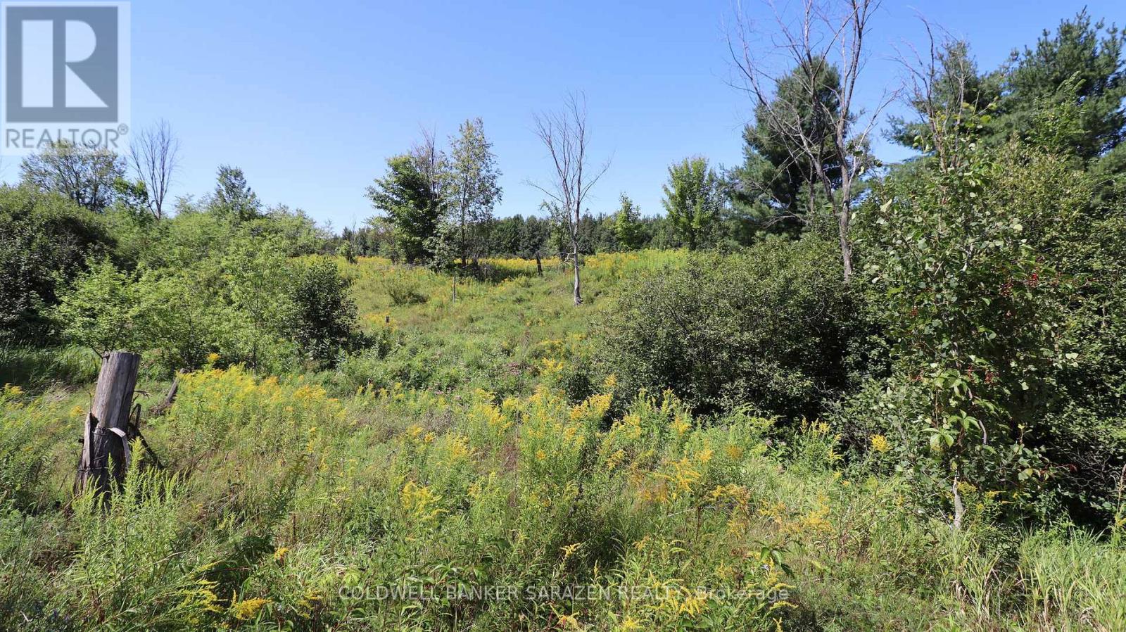 183 Jim Barr Road, Horton, Ontario  K7V 3Z8 - Photo 34 - X13664962
