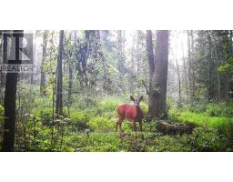 6492 10TH LINE, Minto, Ontario