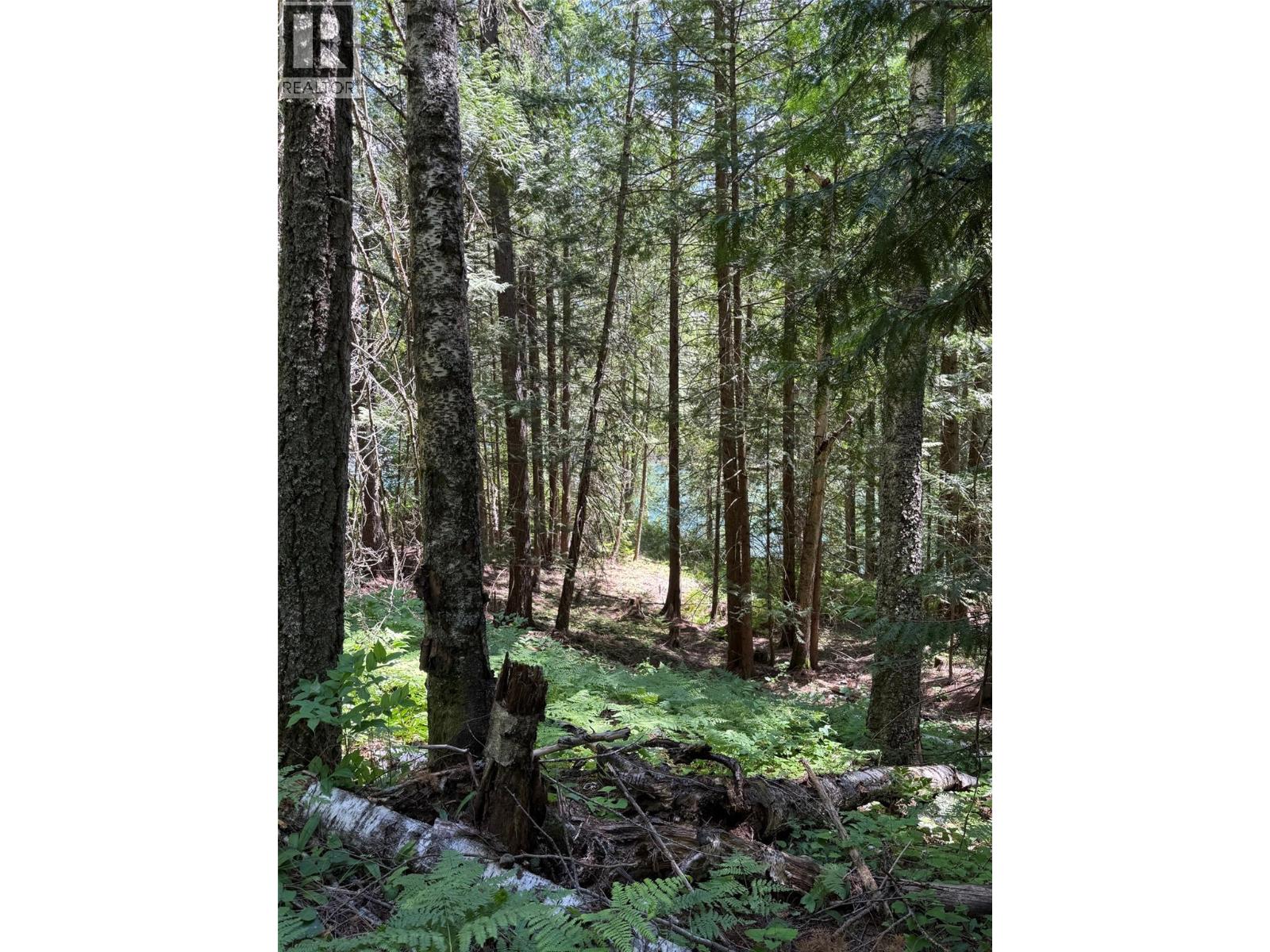 4774 Slocan River Road, Winlaw, British Columbia  V0G 2J0 - Photo 8 - 10393977
