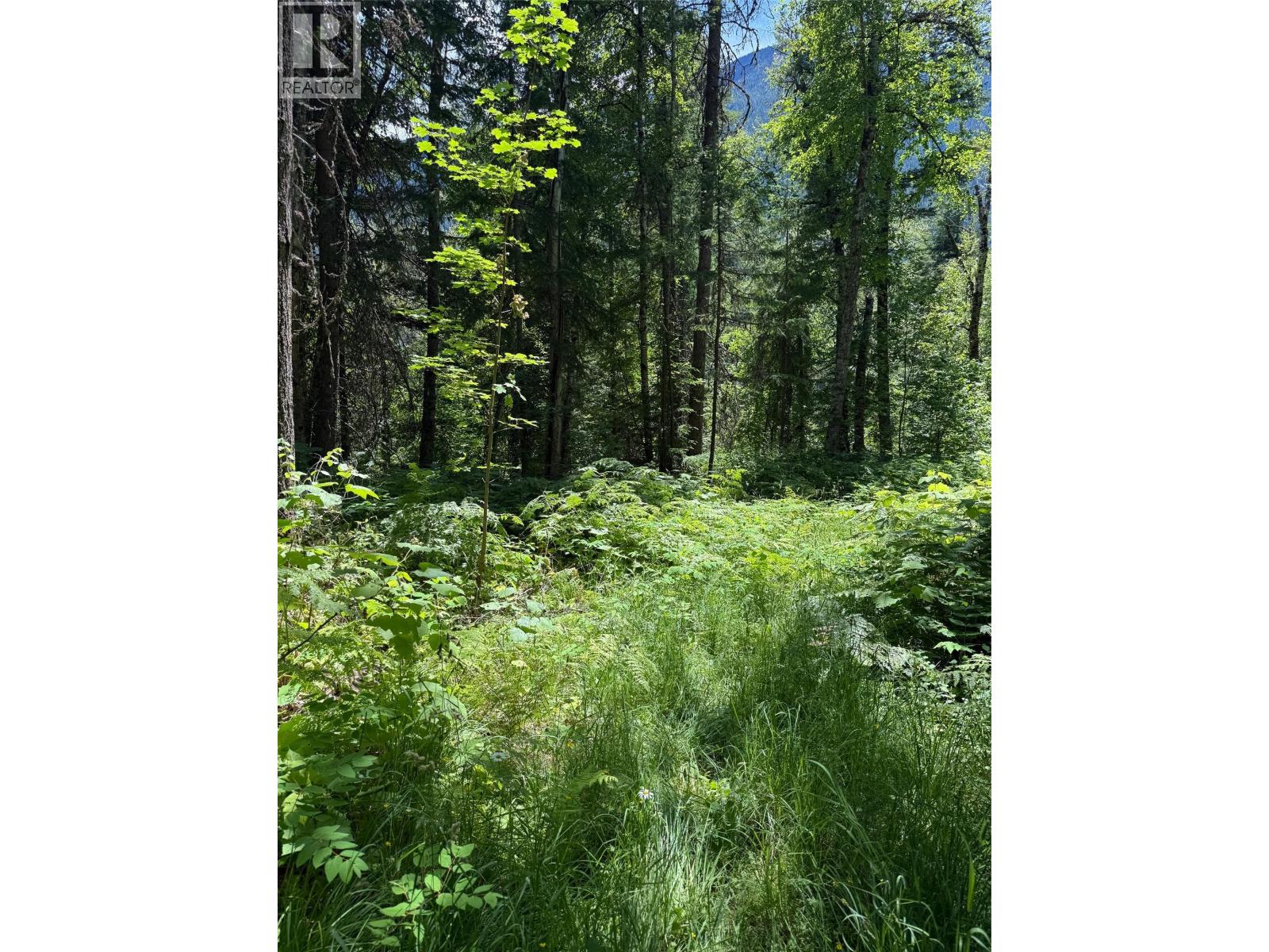 4774 Slocan River Road, Winlaw, British Columbia  V0G 2J0 - Photo 5 - 10393977