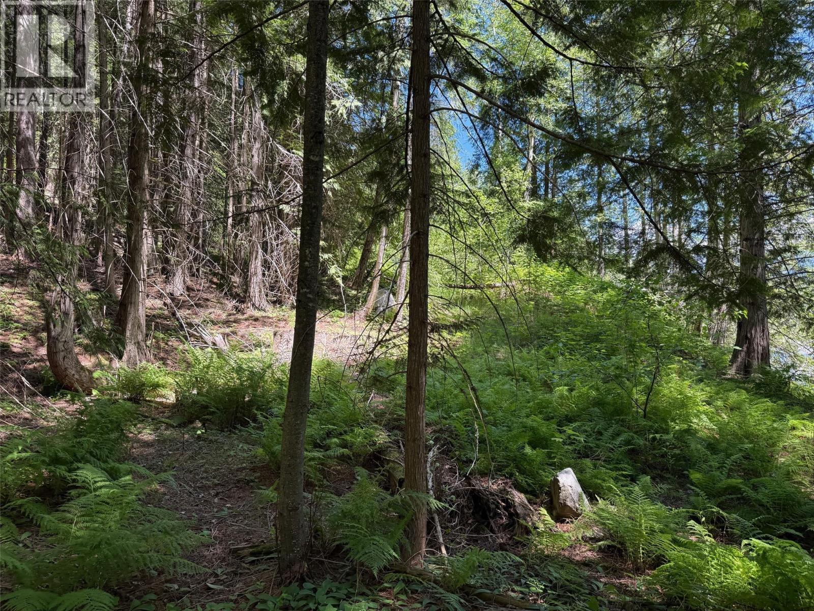 4774 Slocan River Road, Winlaw, British Columbia  V0G 2J0 - Photo 13 - 10393977