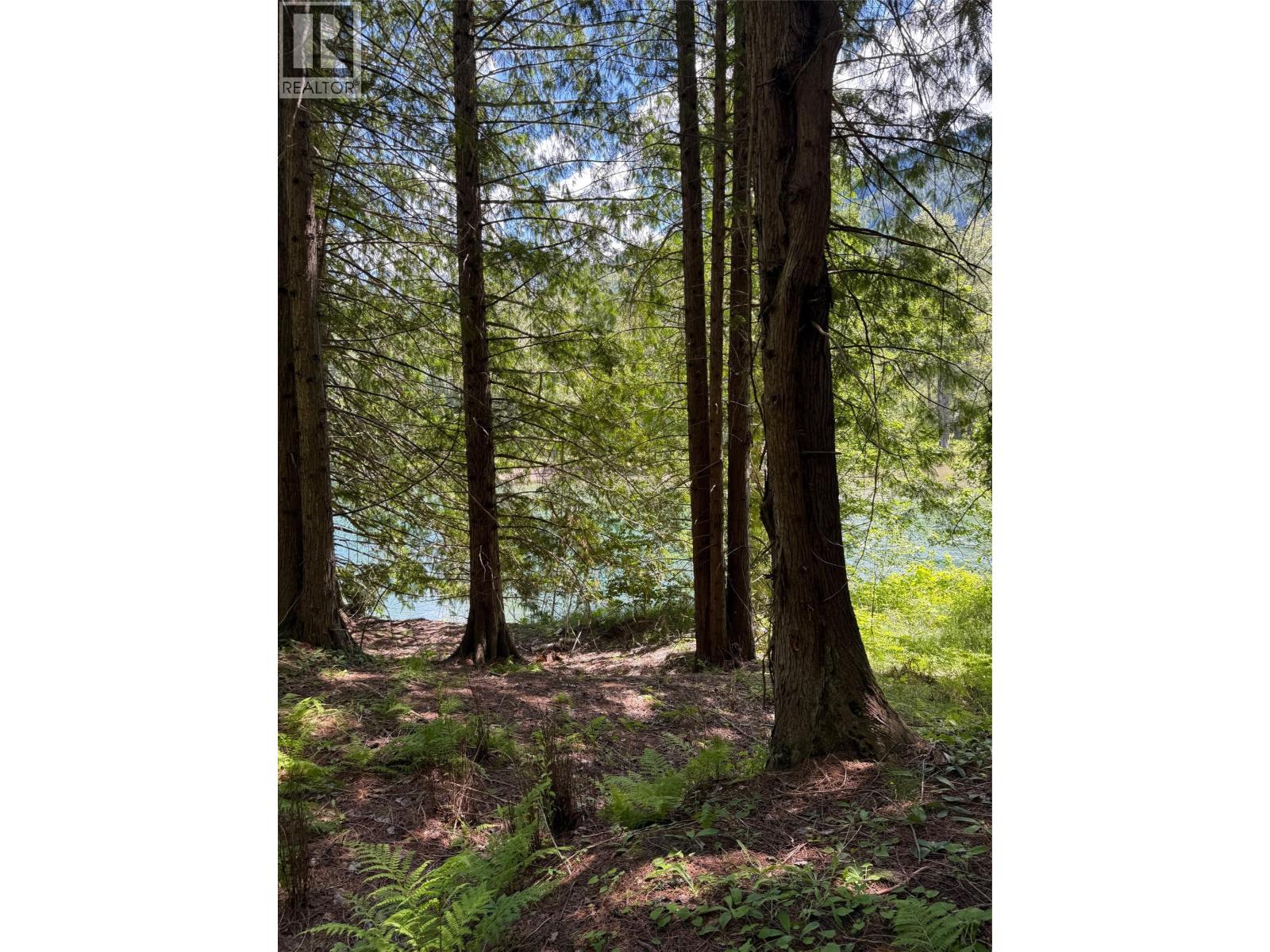 4774 Slocan River Road, Winlaw, British Columbia  V0G 2J0 - Photo 14 - 10393977