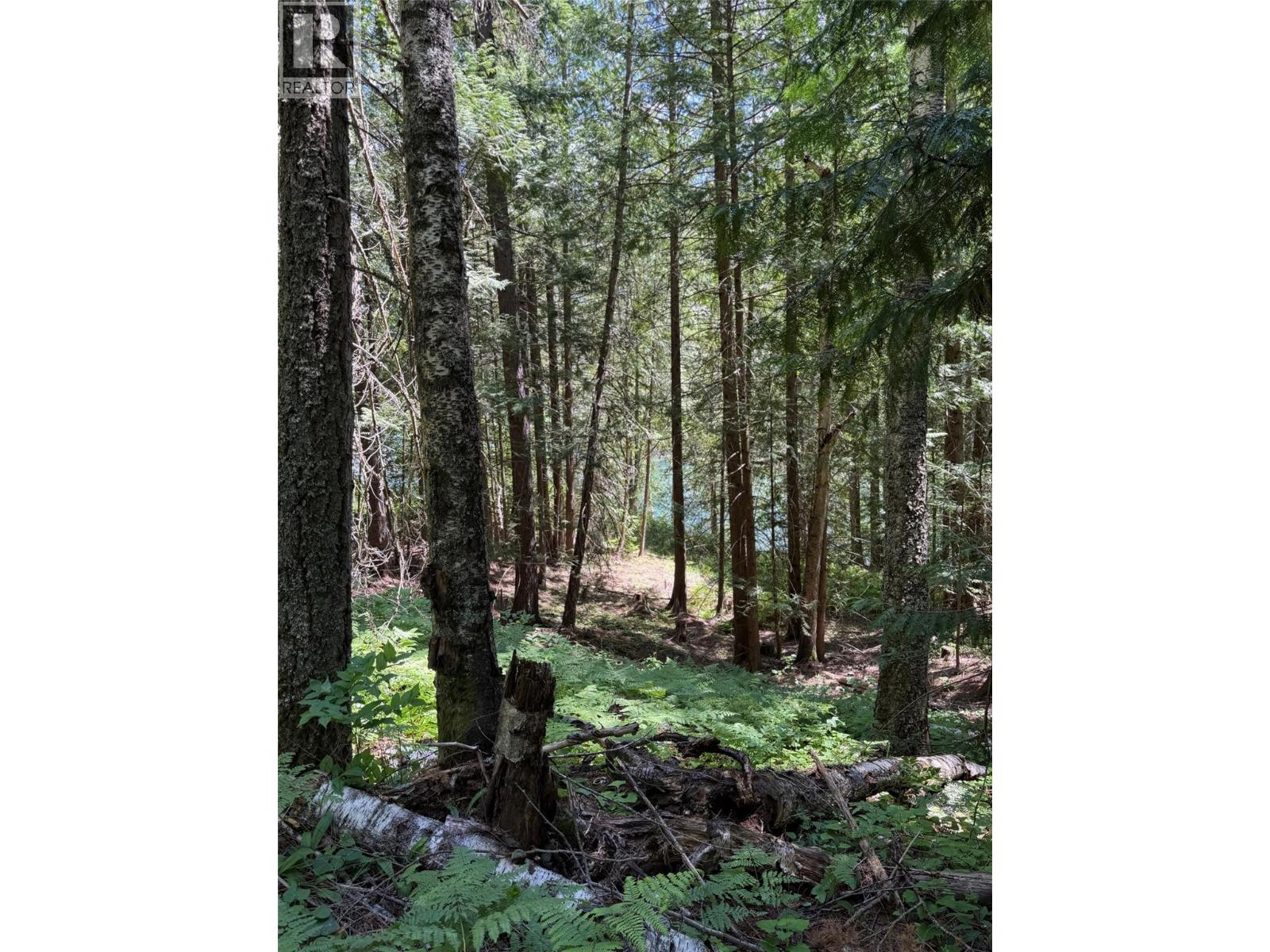 4774 Slocan River Road, Winlaw, British Columbia  V0G 2J0 - Photo 9 - 10393977