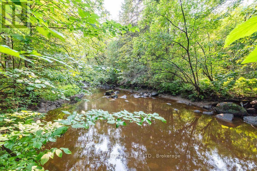 20 Meadowbrook Drive, Laurentian Valley, Ontario K8A 7C3 - Photo 41 - X13679278