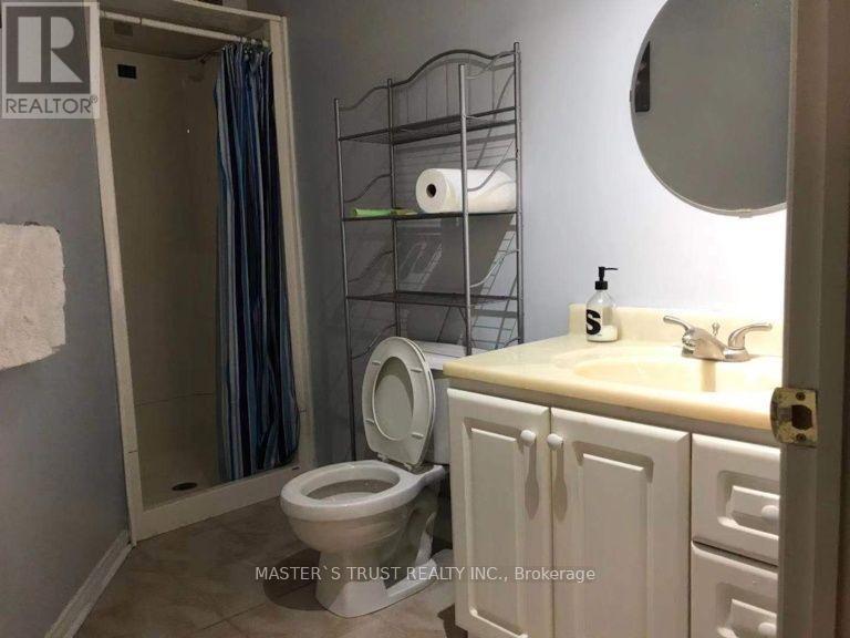 Basement - 702 Welcome Court, Mississauga, Ontario  L5B 3P8 - Photo 13 - W13679306