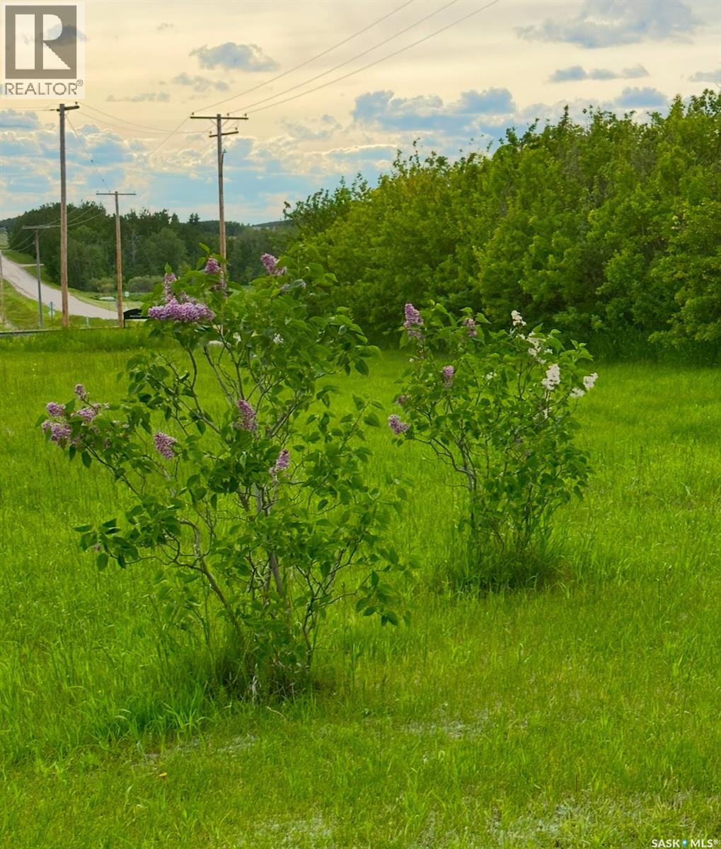 208 1st Street, Tisdale Rm No. 427, Saskatchewan  S0E 1S0 - Photo 4 - SK027306