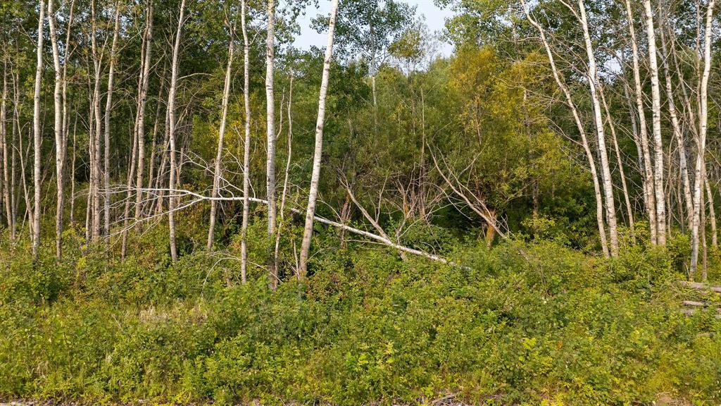 22 Katy Lane, La Broquerie, Manitoba  R0A 0W2 - Photo 7 - 202620502