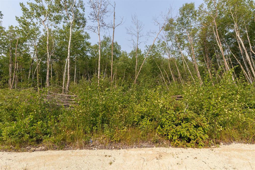 22 Katy Lane, La Broquerie, Manitoba  R0A 0W2 - Photo 8 - 202620502
