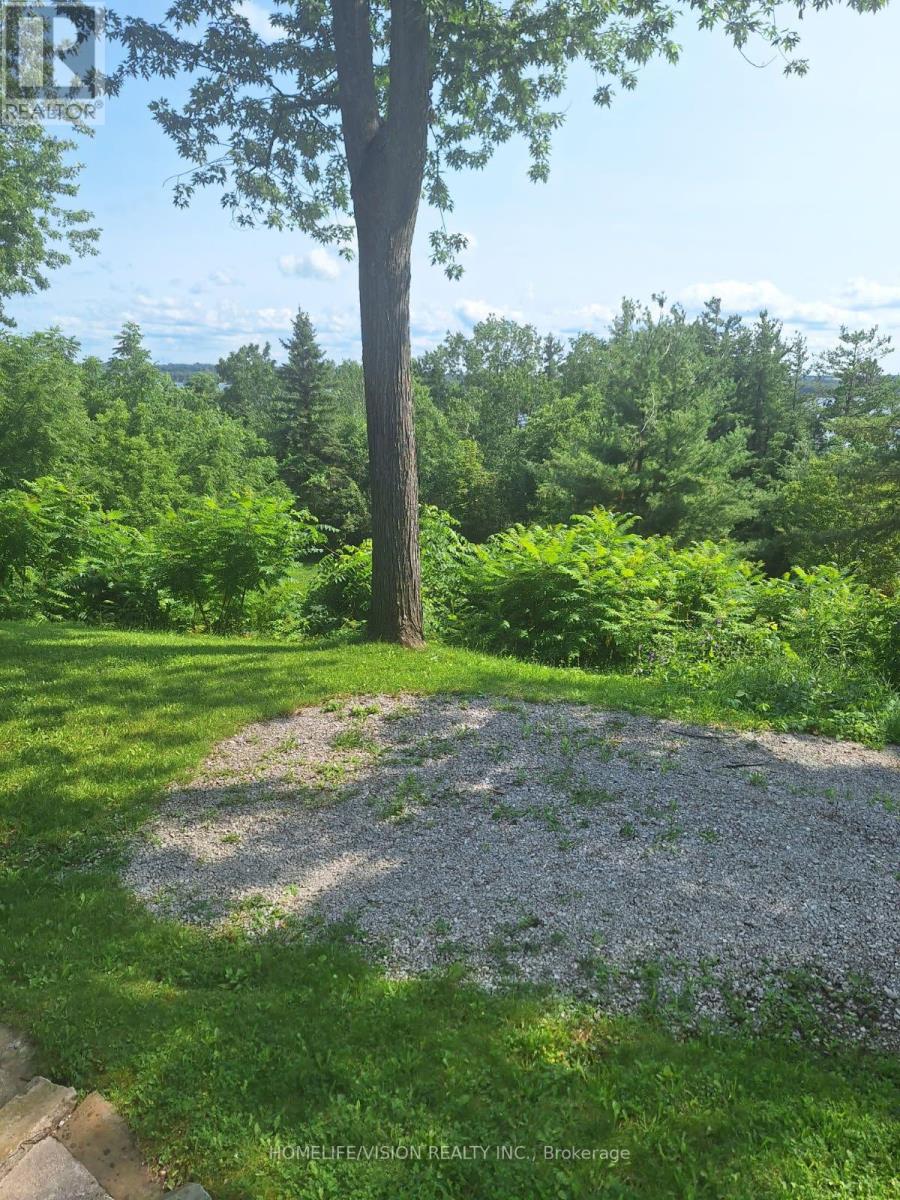 Basement - 161 Shanty Bay Road, Barrie, Ontario  L4M 1E1 - Photo 7 - S13679438