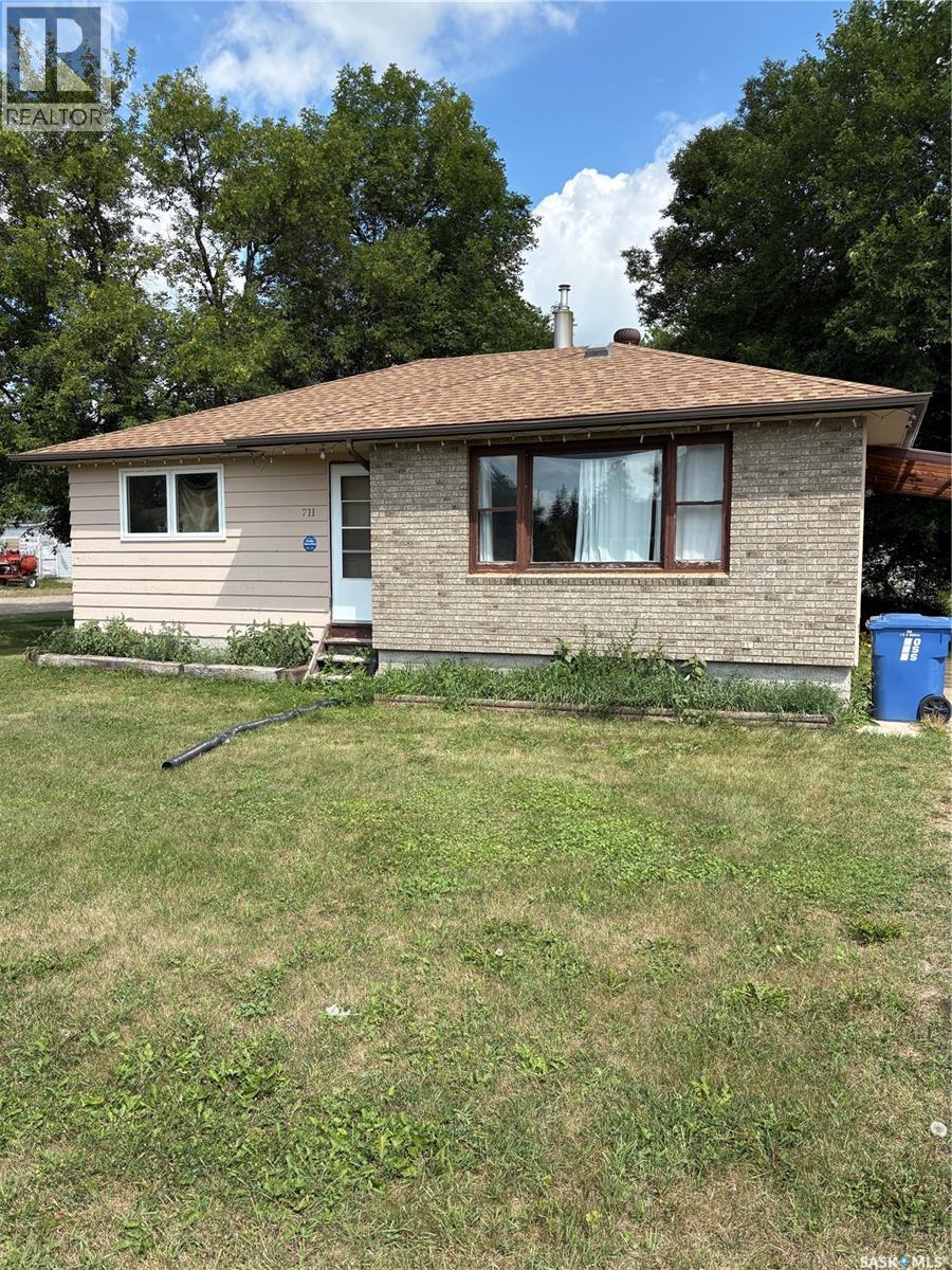 711 Yorkton Avenue, Theodore, Saskatchewan  S0A 4C0 - Photo 1 - SK045391