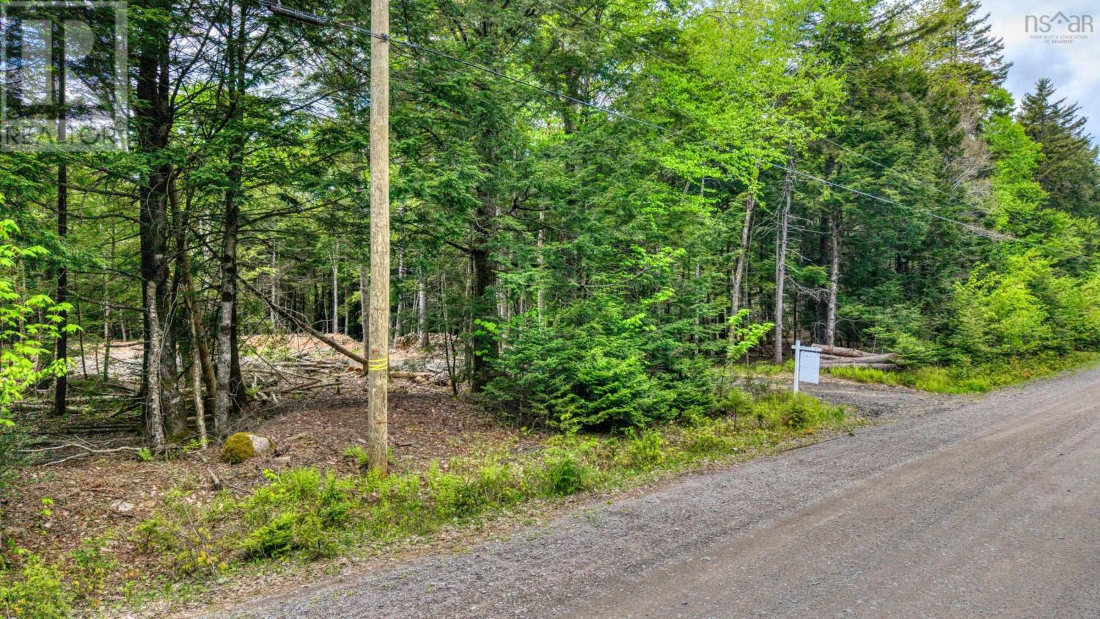 Lot 64c Hirtle Road, Maitland, Nova Scotia  B0J 1E0 - Photo 6 - 202605873