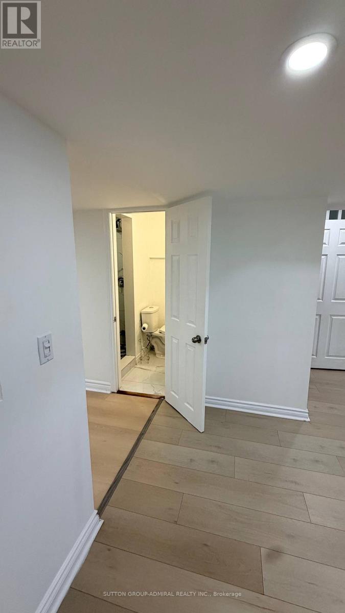 Basement - 328 Woodspring Avenue, Newmarket, Ontario  L3X 3B1 - Photo 16 - N13679518