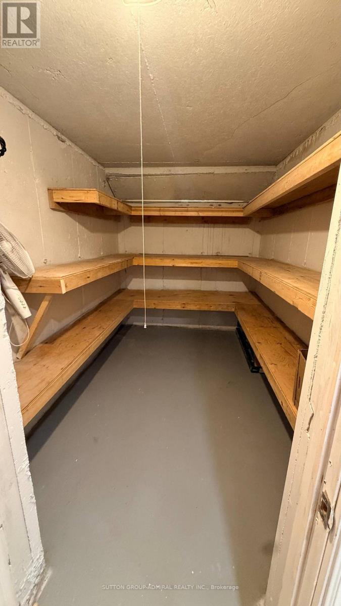 Basement - 328 Woodspring Avenue, Newmarket, Ontario  L3X 3B1 - Photo 23 - N13679518