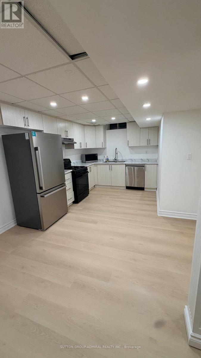 Basement - 328 Woodspring Avenue, Newmarket, Ontario  L3X 3B1 - Photo 6 - N13679518