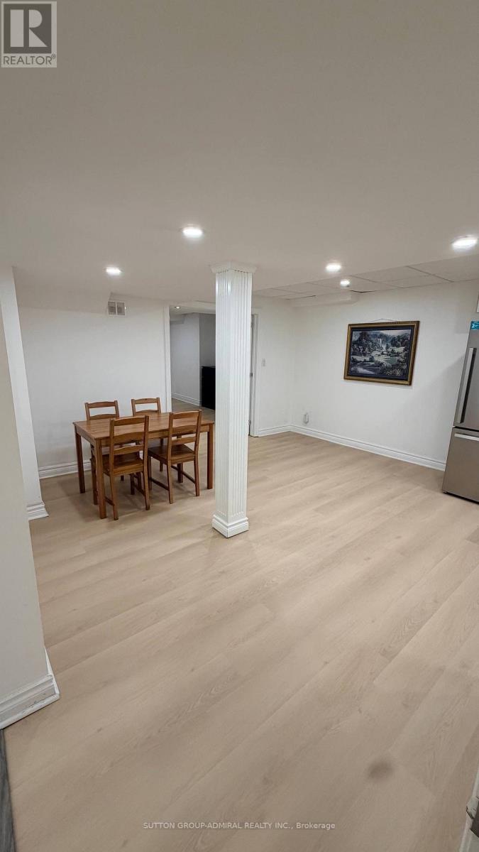 Basement - 328 Woodspring Avenue, Newmarket, Ontario  L3X 3B1 - Photo 9 - N13679518