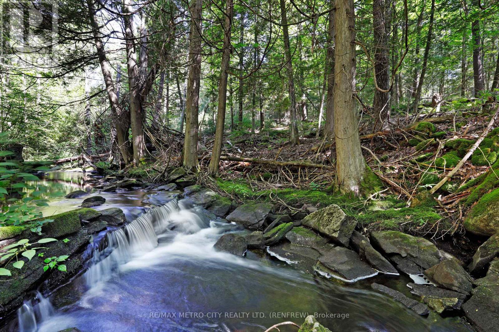 338 Brydges Road Road, Greater Madawaska, Ontario  K0J 1G0 - Photo 45 - X13679614
