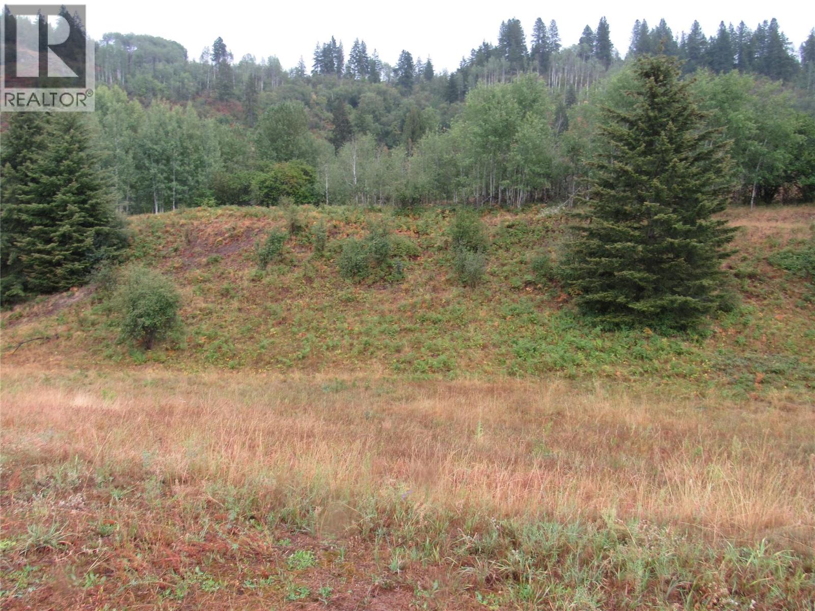Lot 3 Pearson Road, Castlegar, British Columbia