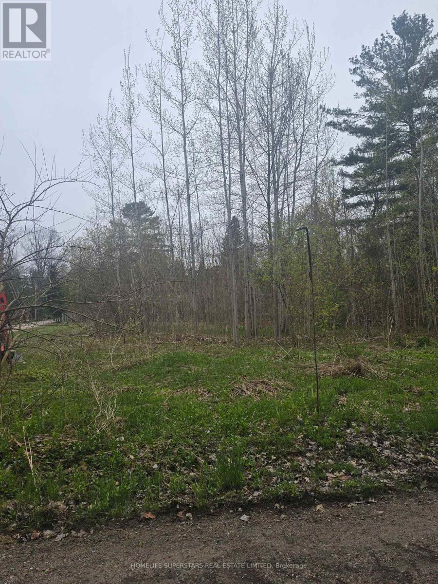Lt 147 Pilon Road, Tiny, Ontario  L0L 2J0 - Photo 13 - S13679636