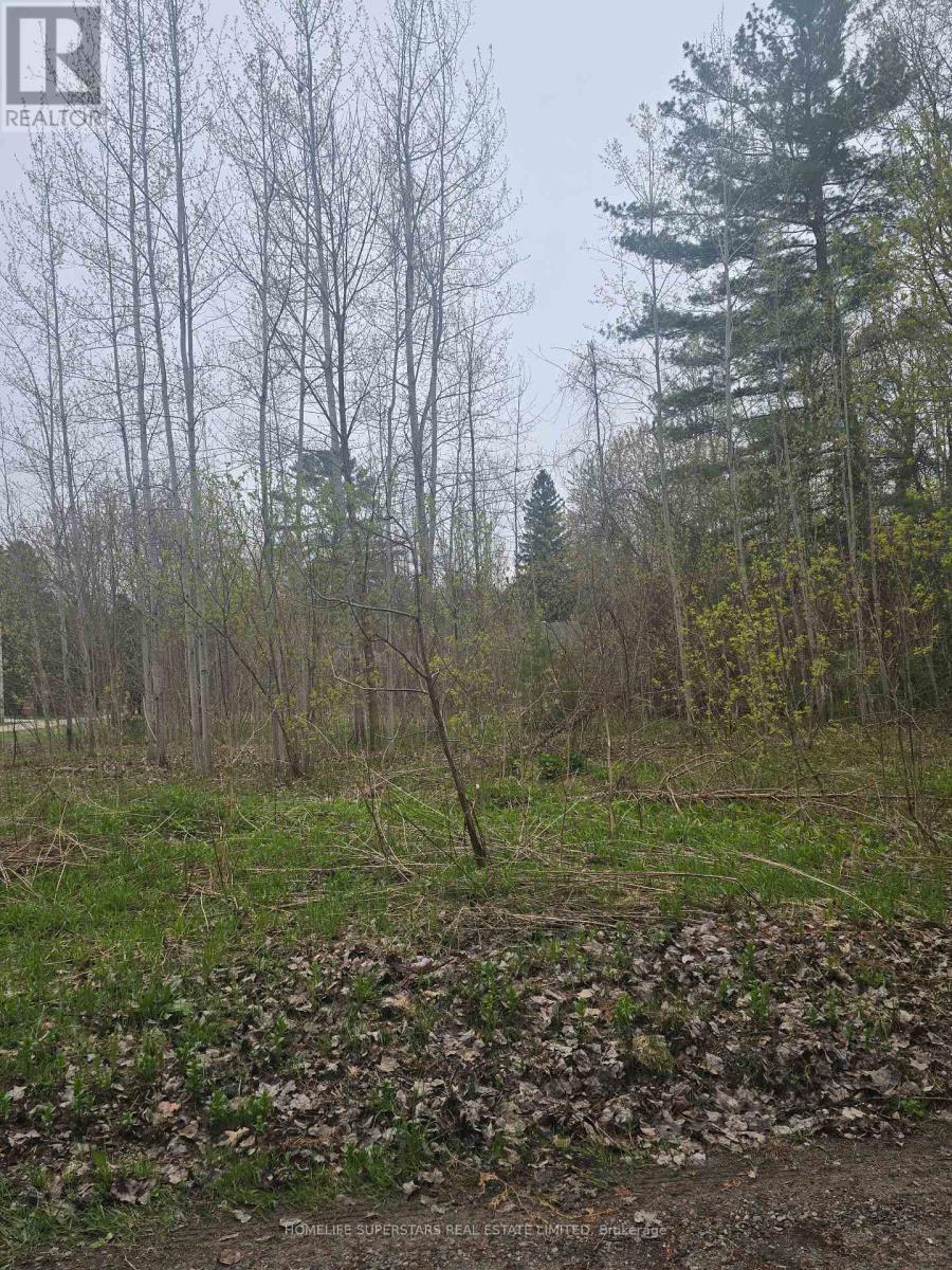 Lt 147 Pilon Road, Tiny, Ontario  L0L 2J0 - Photo 15 - S13679636