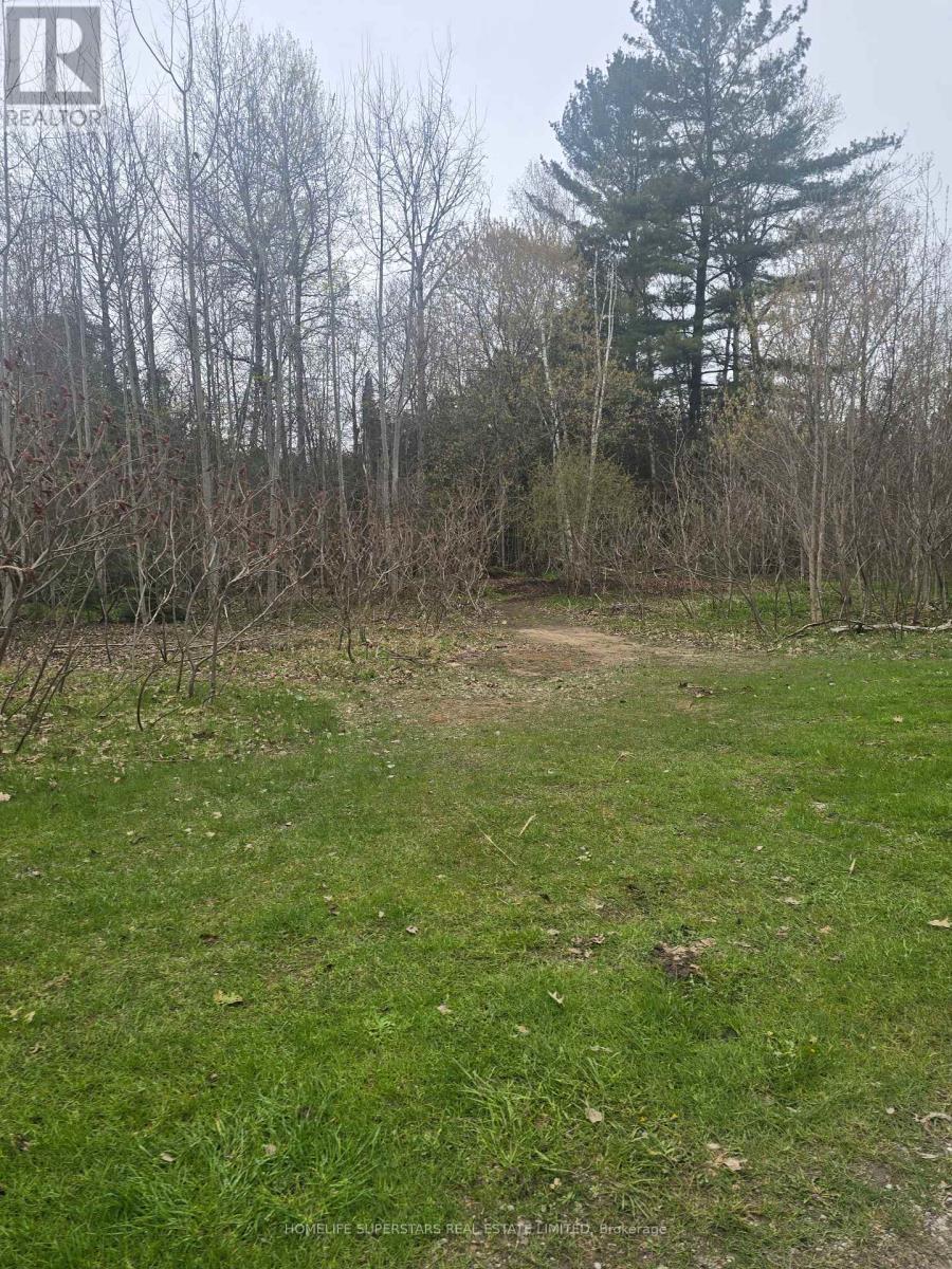 Lt 147 Pilon Road, Tiny, Ontario  L0L 2J0 - Photo 16 - S13679636