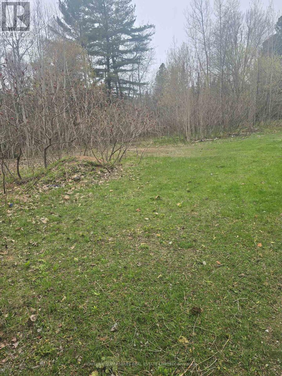 Lt 147 Pilon Road, Tiny, Ontario  L0L 2J0 - Photo 17 - S13679636