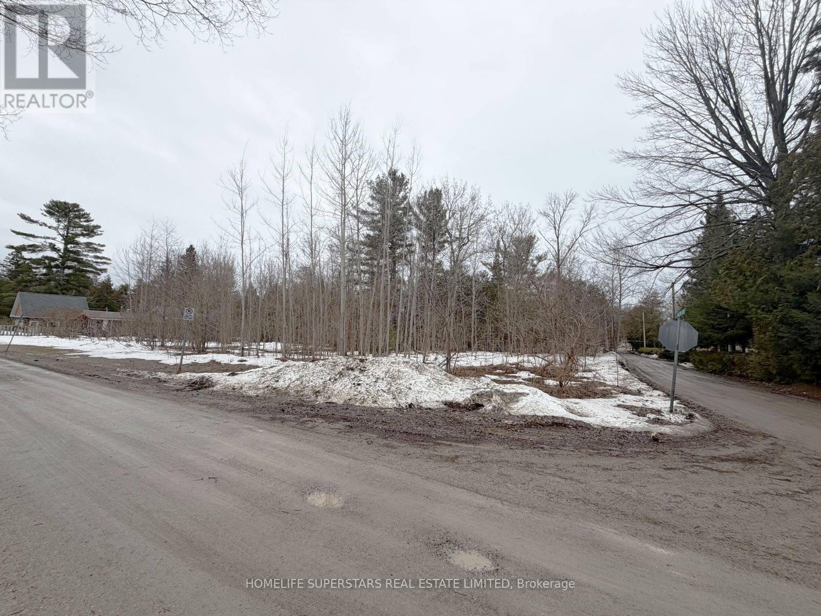 Lt 147 Pilon Road, Tiny, Ontario  L0L 2J0 - Photo 4 - S13679636