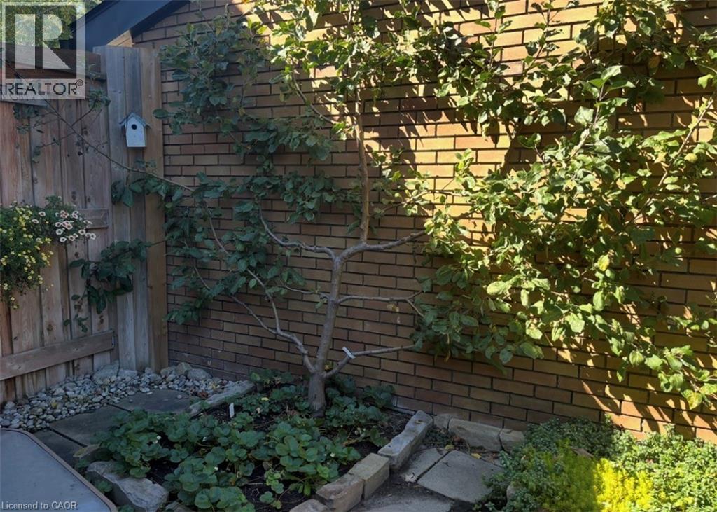 296 Weber Street E, Kitchener, Ontario  N2H 1G2 - Photo 40 - 40856088