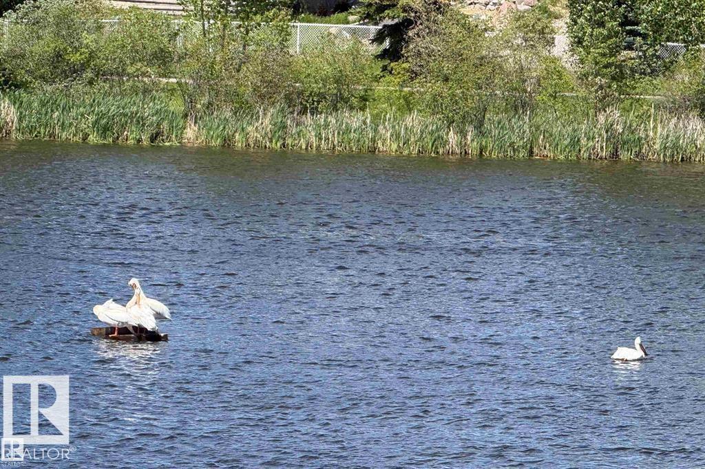 1117 Klarvatten Cove Cv NW, Edmonton, Alberta  T5Z 3N3 - Photo 65 - E4503973