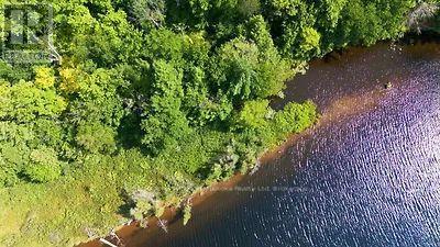 Lot 26 Louisa Street, Parry Sound, Ontario  P2A 3B9 - Photo 12 - X13679738