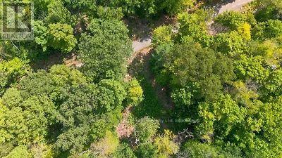 Lot 26 Louisa Street, Parry Sound, Ontario  P2A 3B9 - Photo 13 - X13679738