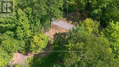 Lot 26 Louisa Street, Parry Sound, Ontario  P2A 3B9 - Photo 14 - X13679738
