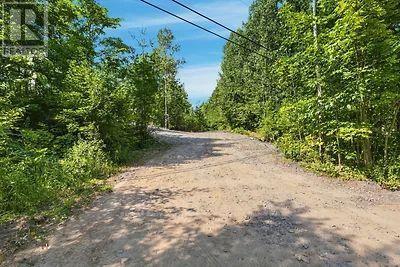Lot 26 Louisa Street, Parry Sound, Ontario  P2A 3B9 - Photo 16 - X13679738