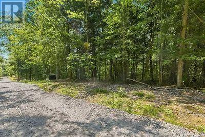 Lot 26 Louisa Street, Parry Sound, Ontario  P2A 3B9 - Photo 17 - X13679738